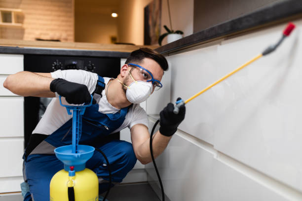 Best Wasp Removal Services  in Quincy, FL