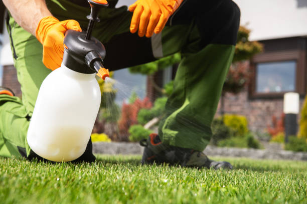 Best Pest Control Near Me in Quincy, FL