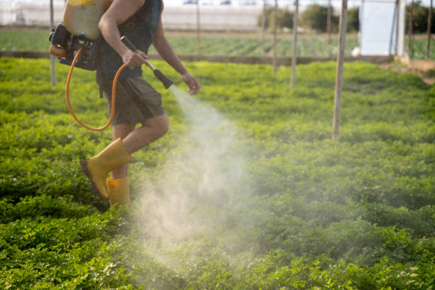 Best Affordable Exterminators  in Quincy, FL