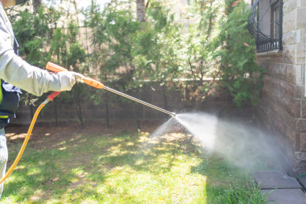 Best Pest Inspection Near Me  in Quincy, FL