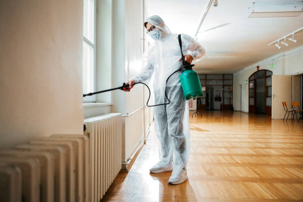 Best Flea Control Services  in Quincy, FL