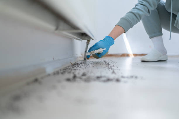 Best Residential Pest Control  in Quincy, FL